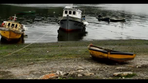 Män i båtar på chiloe ö — Stockvideo