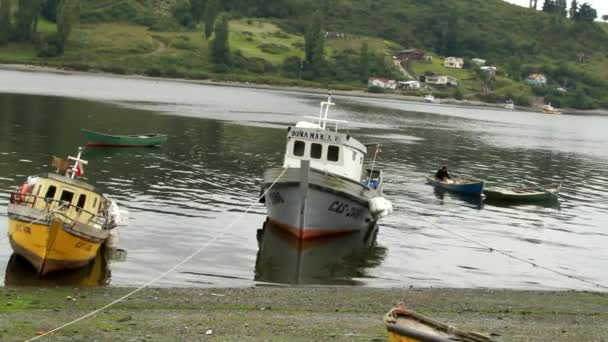 Άνδρες με βάρκες στο νησί chiloe — Αρχείο Βίντεο