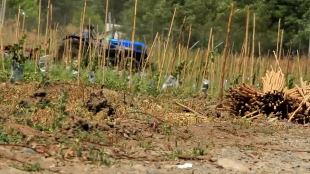 Tractor en el campo — Vídeo de stock