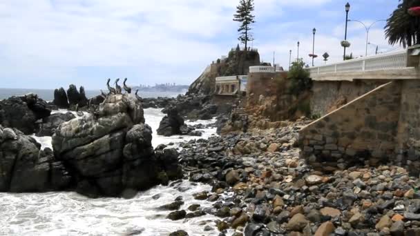 Obří vlny na pláži — Stock video