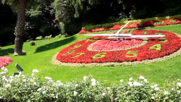 Reloj de flores — Vídeo de stock