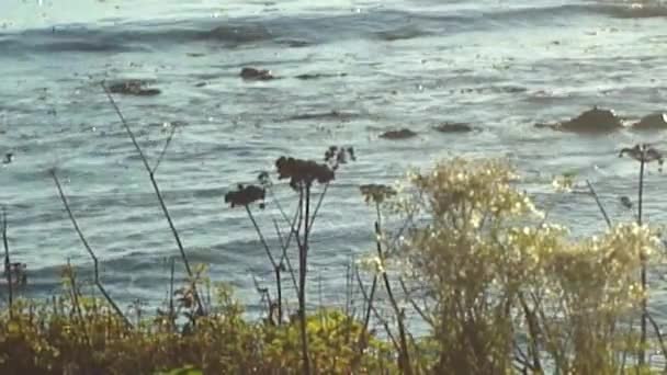 Côtes californiennes 