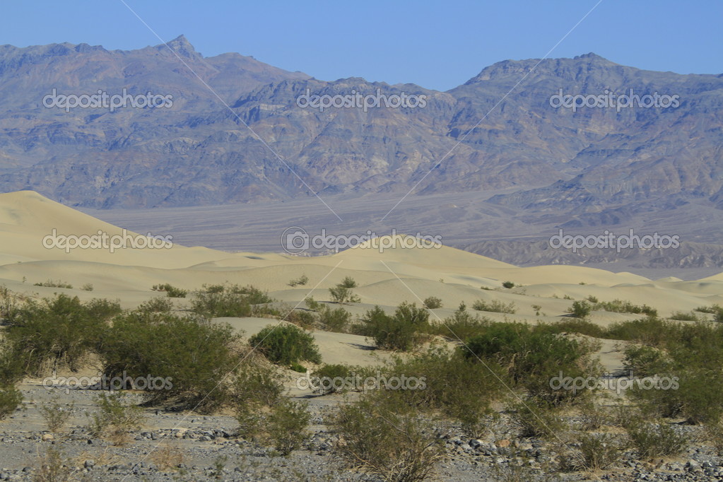 MOHAVE VALLEY
