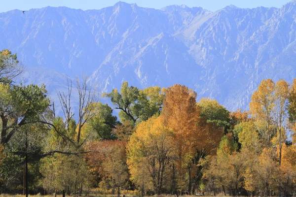 Eastern Sierra Nevada — Stock Photo, Image