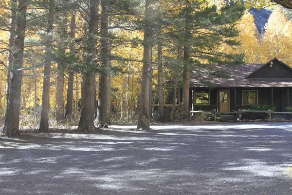 Casa en el bosque — Foto de Stock