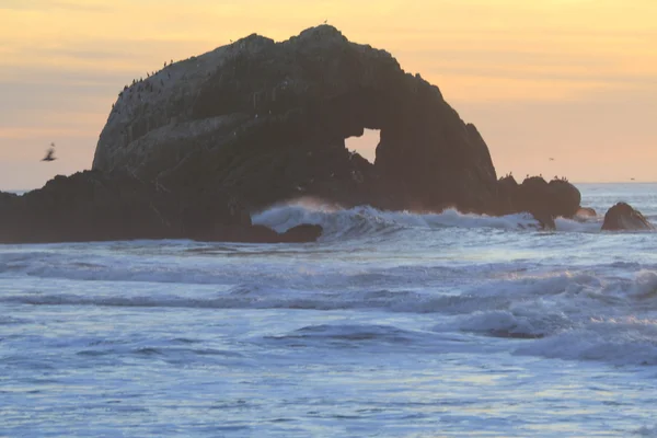 San francisco oceanen solnedgång — Stockfoto