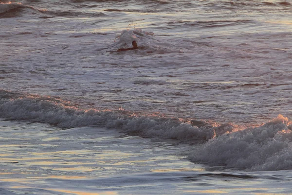 Surfers in the ocean at sunset — Stock Photo, Image