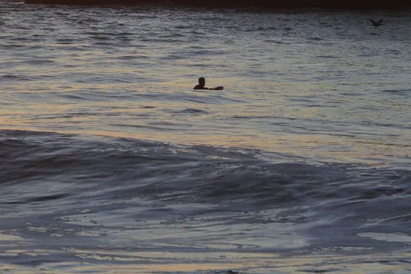 Серфери в океані на заході сонця — стокове фото