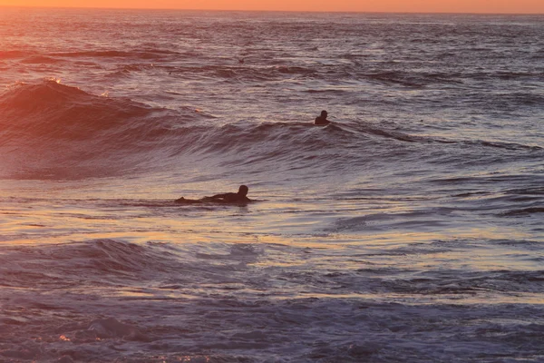 Surfistas en el océano al atardecer — Foto de Stock