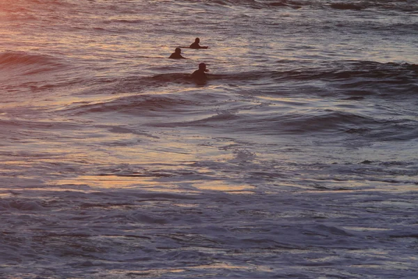 Серфери в океані на заході сонця — стокове фото