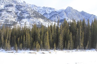 kış sahne. Banff, alberta, Kanada