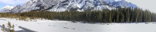 Zimní scény. Banff, alberta, Kanada — Stock fotografie