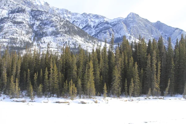 Téli táj. Banff, alberta, Kanada — Stock Fotó