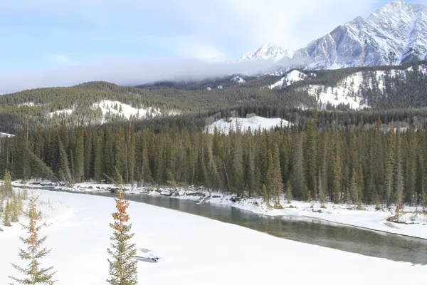 Zimní scény. Banff, alberta, Kanada — Stock fotografie