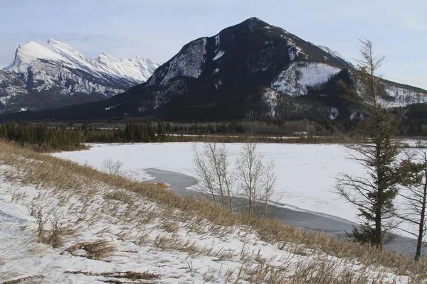 Winters tafereel. Banff, alberta, canada — Stockfoto