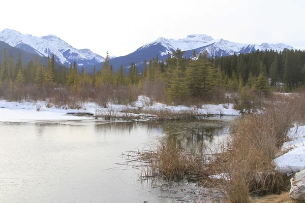 Winters tafereel. Banff, alberta, canada — Stockfoto
