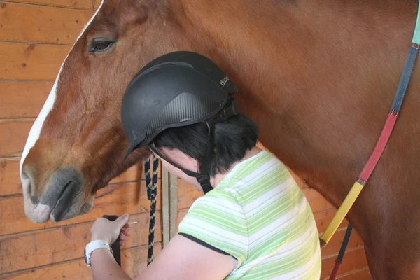 Donna asiatica con un cavallo nella stalla — Foto Stock