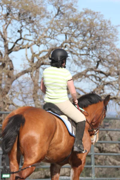 Aziatische vrouw op een paard — Stockfoto