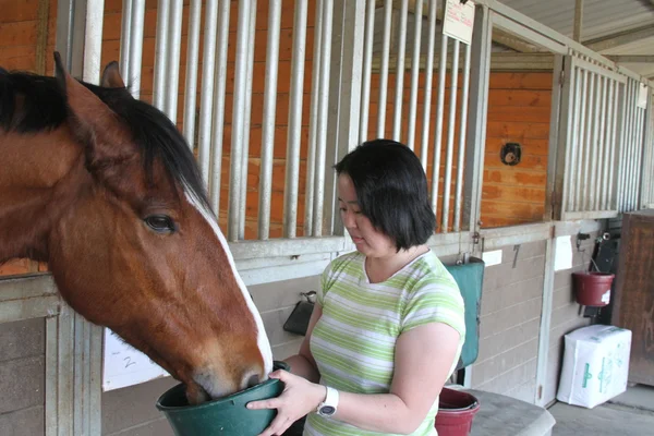 アジアの女性は厩で馬をフィードします。 — ストック写真