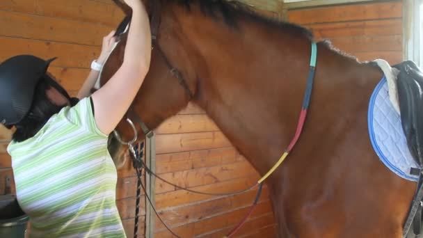 Menina grooming cavalo para equitação — Vídeo de Stock