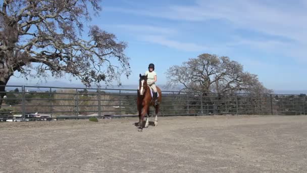 Девушка на лошади — стоковое видео