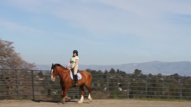 Девушка на лошади — стоковое видео