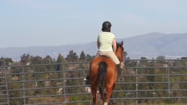 Menina equitação cavalo — Vídeo de Stock