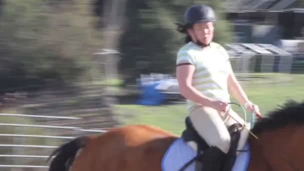 Dívka na koni koně — Stock video