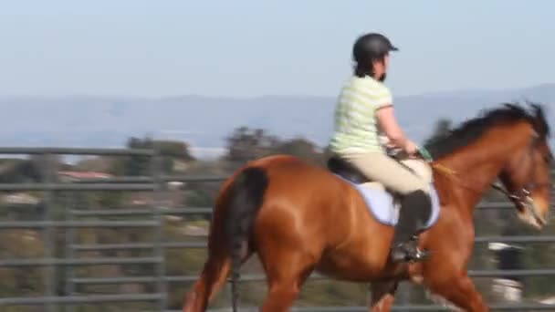 Menina equitação cavalo — Vídeo de Stock