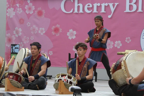 Cherry Blossom Festival - Taiko Drumming — Stock Photo, Image
