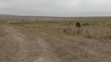 Point Reyes Ulusal Deniz Kıyısında Bisiklet Sürme