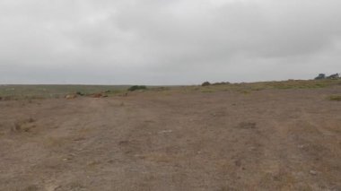 Point Reyes Ulusal Deniz Kıyısında Bisiklet Sürme