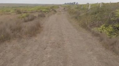 Point Reyes Ulusal Deniz Kıyısında Bisiklet Sürme