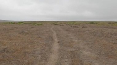 Point Reyes Ulusal Deniz Kıyısında Bisiklet Sürme