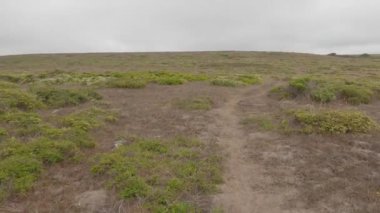 Point Reyes Ulusal Deniz Kıyısında Bisiklet Sürme