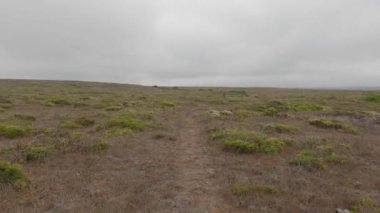 Point Reyes Ulusal Deniz Kıyısında Bisiklet Sürme