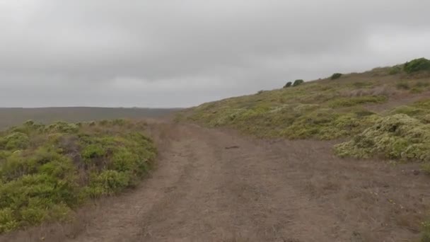 Bicicleta Point Reyes Costa Nacional — Vídeo de Stock