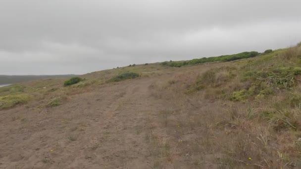 Bicicleta Point Reyes Costa Nacional — Vídeo de Stock