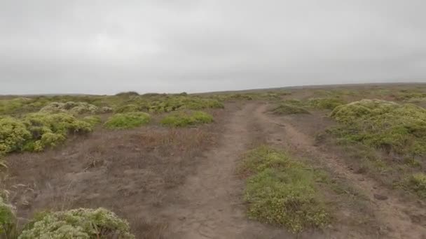 Bicicleta Point Reyes Costa Nacional — Vídeo de Stock