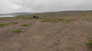 Point Reyes Ulusal Deniz Kıyısında Bisiklet Sürme