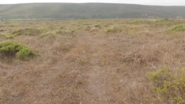 Point Reyes Ulusal Deniz Kıyısında Bisiklet Sürme