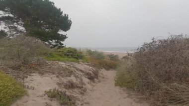 Point Reyes Ulusal Deniz Kıyısında Bisiklet Sürme