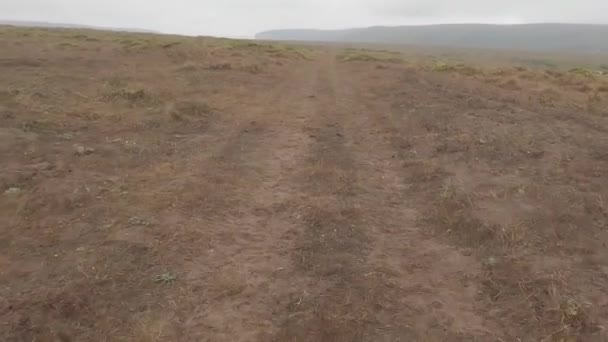 Biking Point Reyes National Seashore — Stock Video