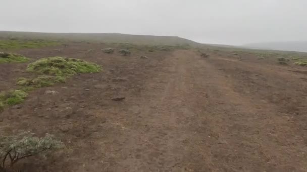 Bicicletta Point Reyes Spiaggia Nazionale — Video Stock