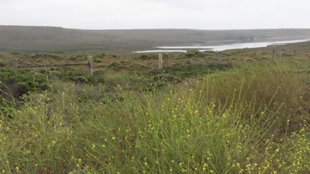 Biking Point Reyes National Seashore — Stock Video