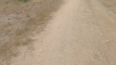 Point Reyes Ulusal Deniz Kıyısında Bisiklet Sürme