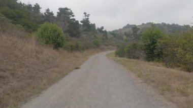 Point Reyes Ulusal Deniz Kıyısında Bisiklet Sürme