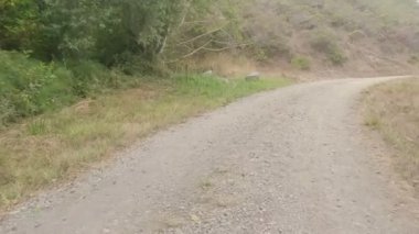 Motosiklet yarışları, ulusal deniz kıyısı