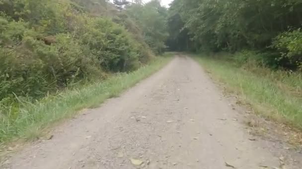 Biking Point Reyes National Seashore — Stock Video