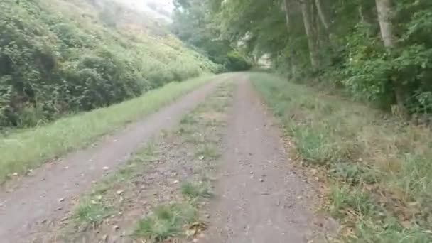 Biking Point Reyes National Seashore — Stock Video